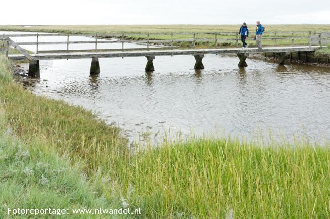 Groene Wissel Schiermonnikoog 3