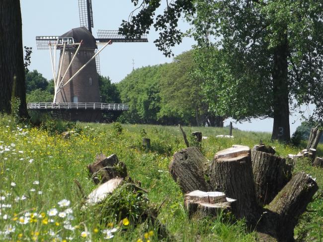 De stellingmolen De Stella Polaris