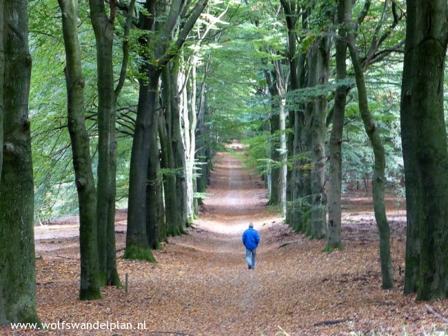 Trage Tocht Dieren