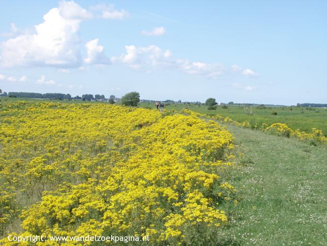 Nieuwe natuur op Tiengemeten