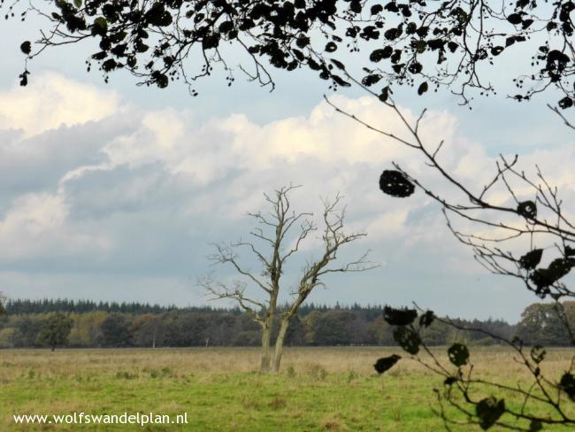 Trage Tocht Papenvoort