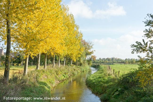 Groene Wissel Goirle