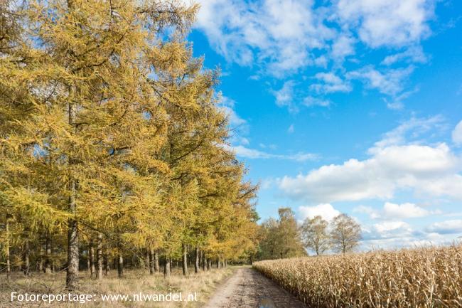 Groene Wissel Hooge Mierde