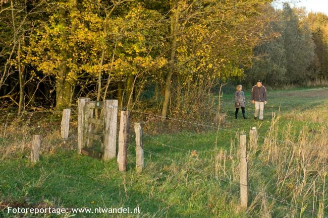 Groene Wissel Vollenhove