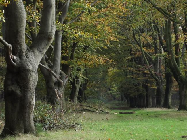 Landgoed Huis ter Heide