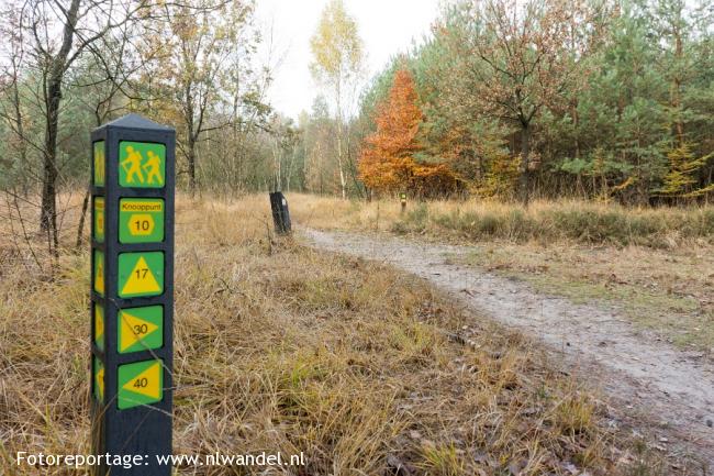 Groene Wissel Lage Mierde