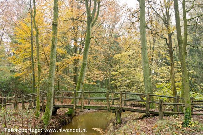 Landgoed De Utrecht, Reusel
