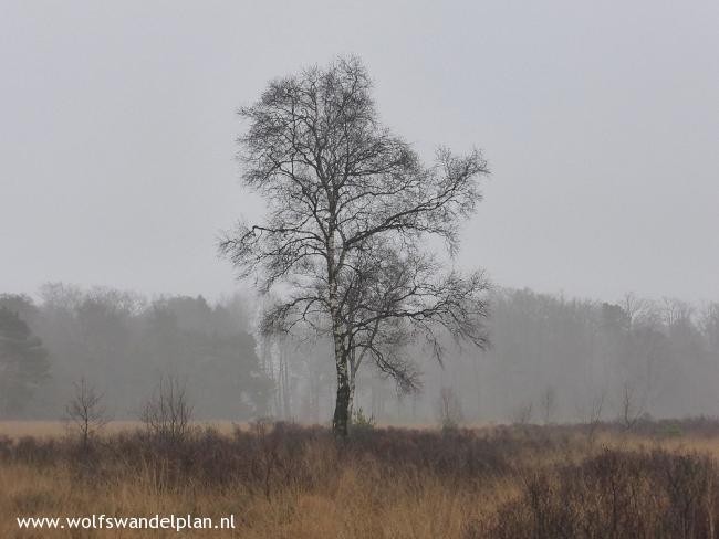 Trage Tocht De Lutte