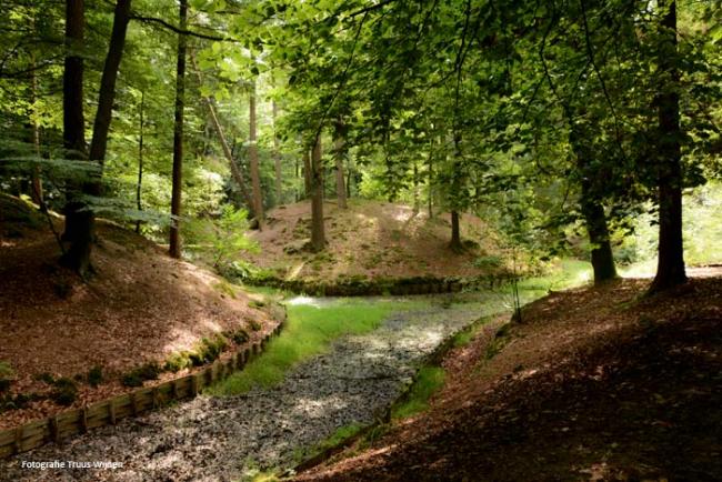 Hellendoorn - Eelerberg
