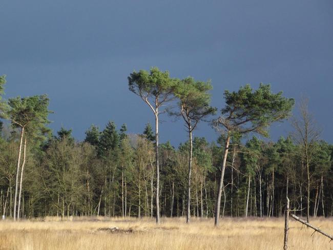 Stenen der Zaligheden-tocht