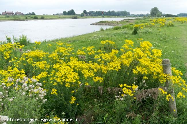 Langs de IJssel