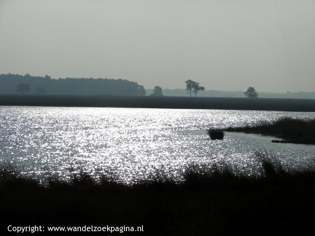 Dwingelderveld