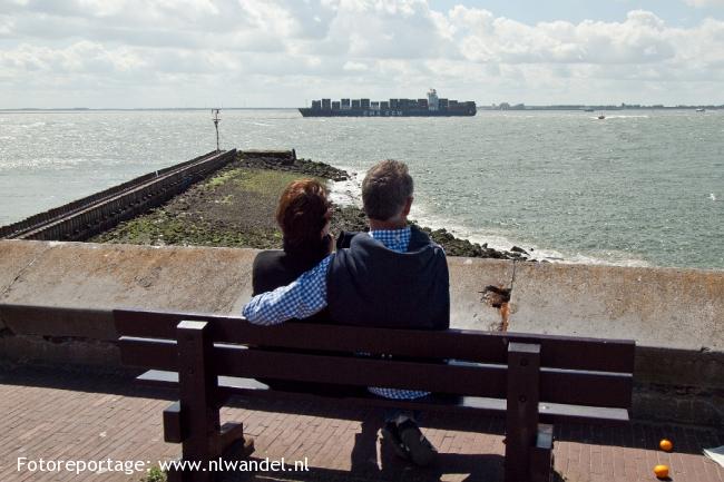 Westerschelde