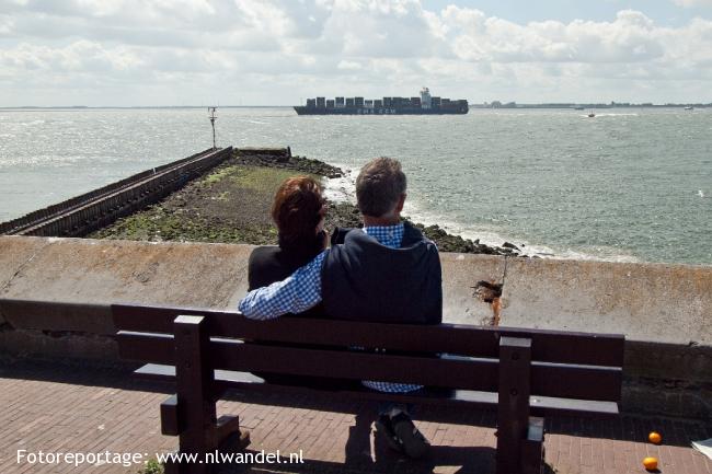 Westerschelde