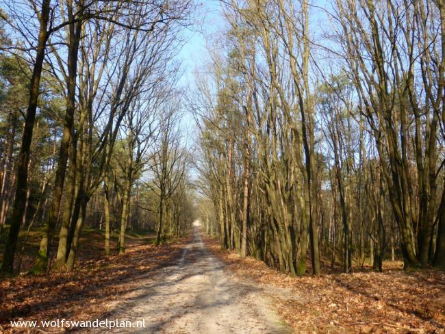 Trage Tocht Beekbergen