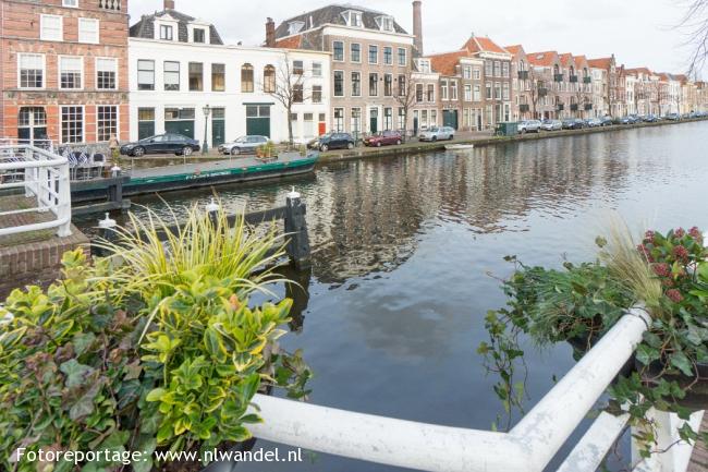 Groene Wissel Leiden Centraal 2