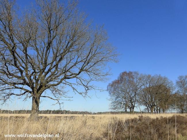 Trage Tocht Schaarsbergen