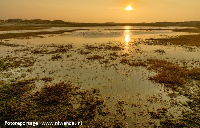 Groene Wissel Terschelling: Baaiduinen