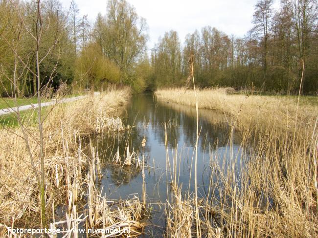 Het Streekbos