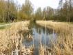 NS-wandeling De Weelen
