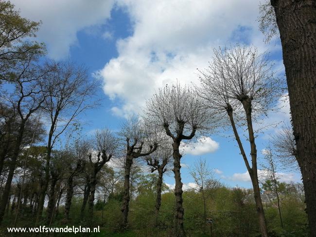 Trage Tocht Schoonheten