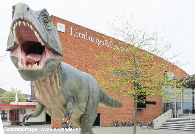 Limburgs Museum en Dino
