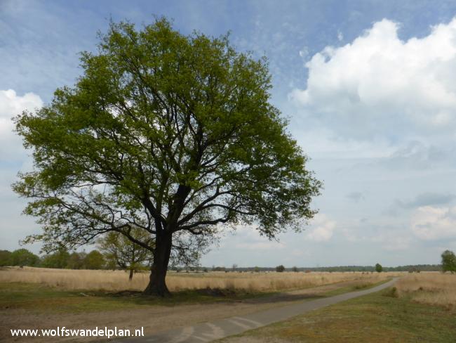 Trage Tocht Kampina