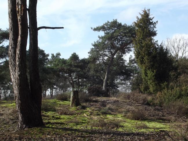 Aardsbroek-tocht