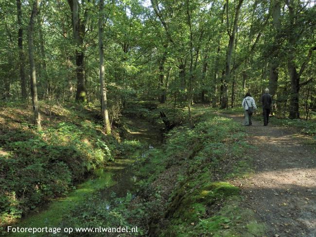 De Bosbeek