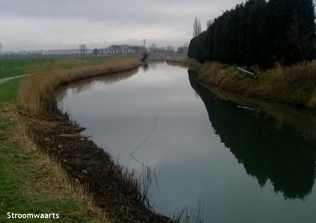 Uitzicht op de Betuwe