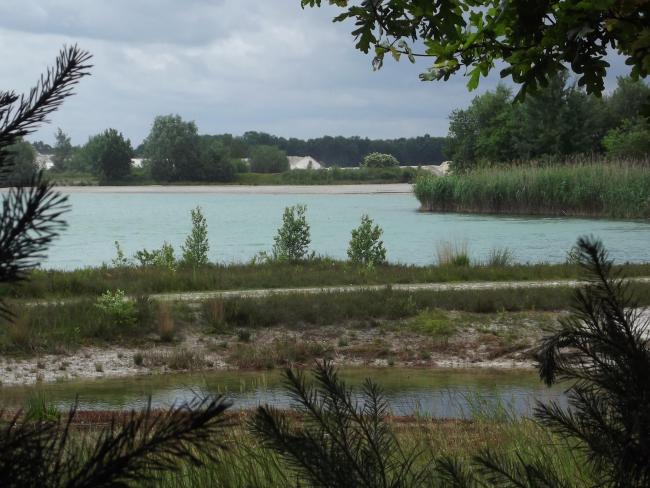 Zandafgraving in de Nederheide