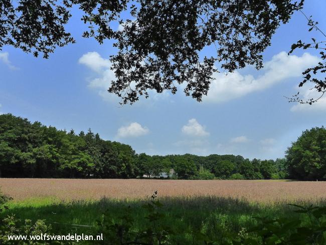 Trage Tocht Echten