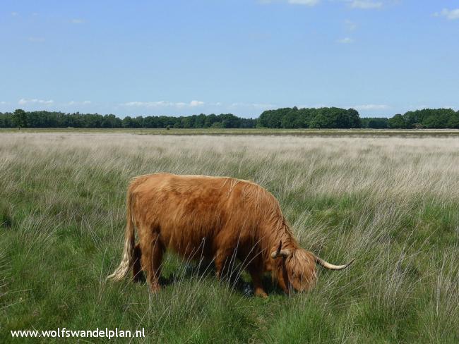 Trage Tocht Hijkerveld