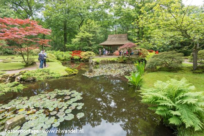 Landgoed Clingendael, Japanse Tuin