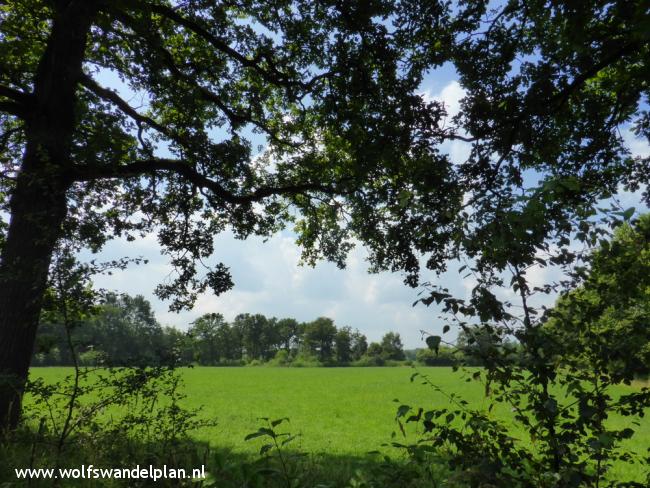 Trage Tocht Landgoed Den Treek-Henschoten