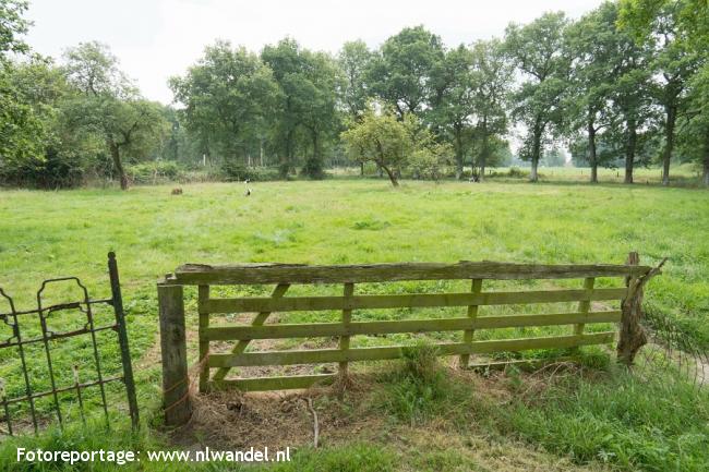 Es van Leutingwolde