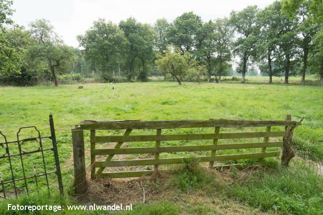 Groene Wissel Leek