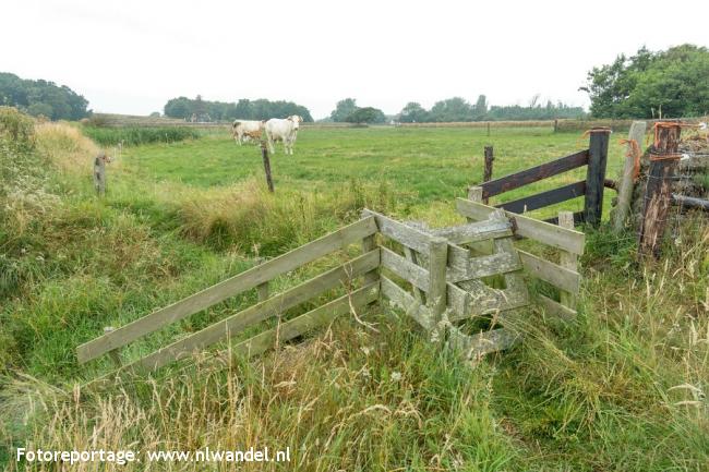 De Hoge Berg, Brakenstein