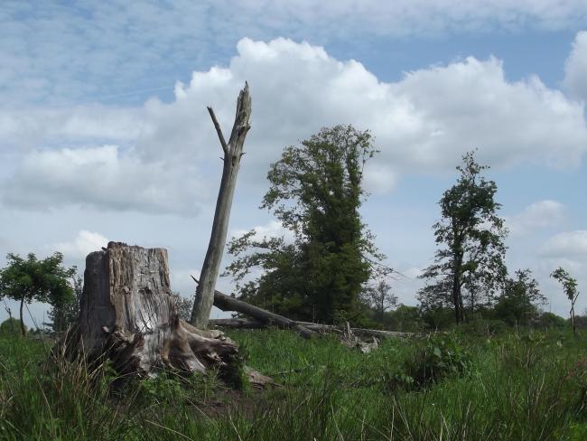 Ommetje Groot Dorperveld