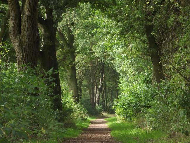 Ommetje Esperloop