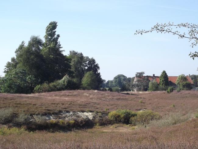 Ommetje Overloonsche Duinen