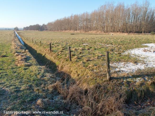 Tussen Haren en Glimme