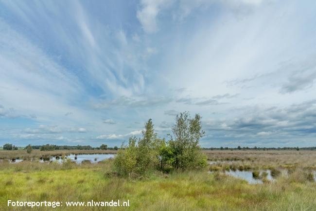 Groene Wissel Weiteveen