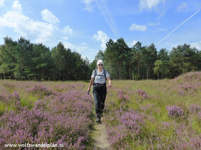 Trage Tocht Doldersum