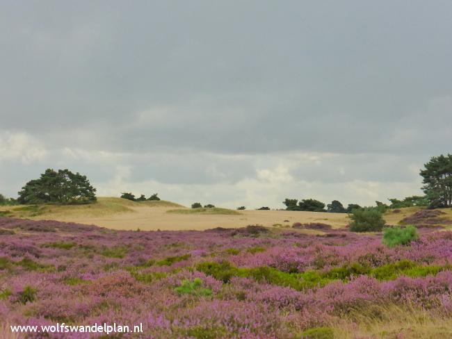 Trage Tocht Aekingerzand