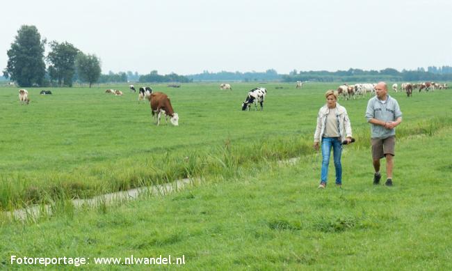 Benschopper Boezem