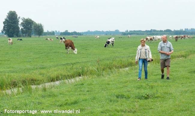 Groene Wissel Haastrecht