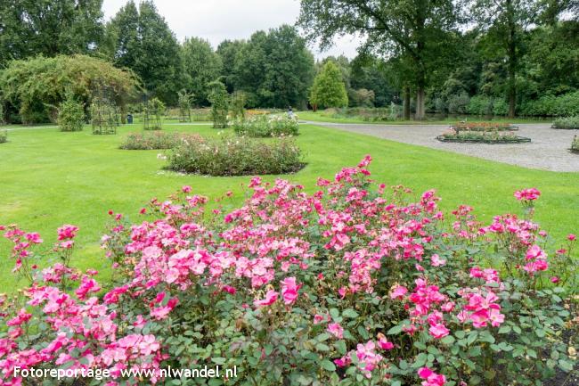 Groene Wissel Winschoten 2