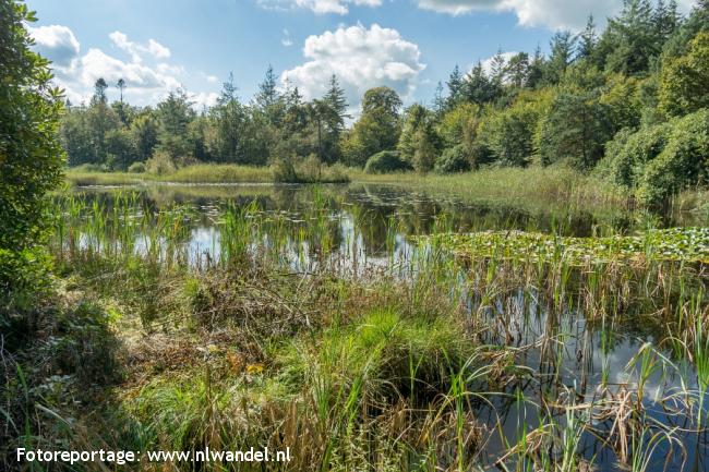 Het Oude Bos, Freulevijver