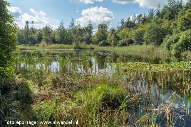 Groene Wissel Bakkeveen 2